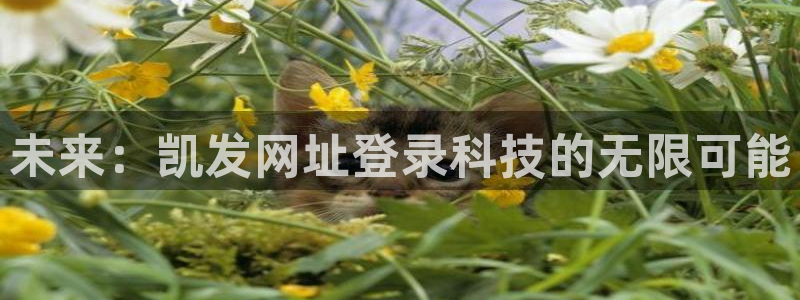 壹号国际app免费下载安装