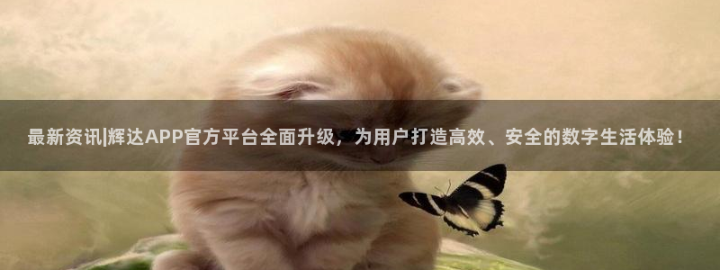 壹号大舞台官网