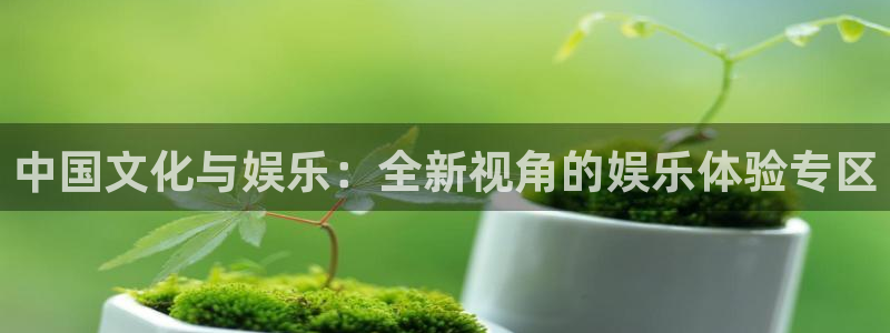 壹号电子娱乐app下载安装最新版本