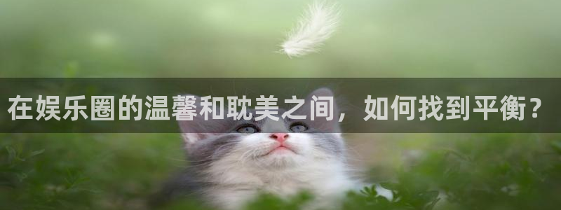 新宝5app下载安装
