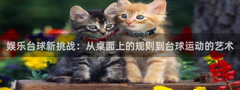 壹号下载安装