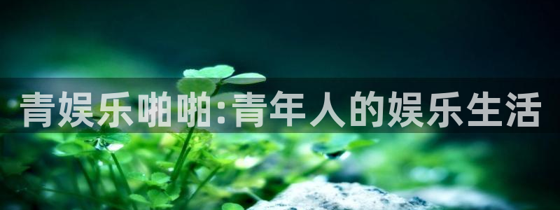 壹号电子娱乐app下载最新版本安装