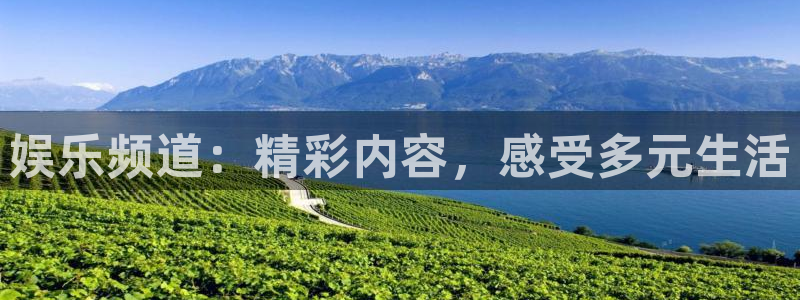新宝5app下载地址