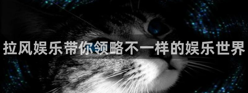 新宝5下载入口