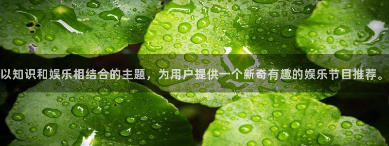 新宝5网站