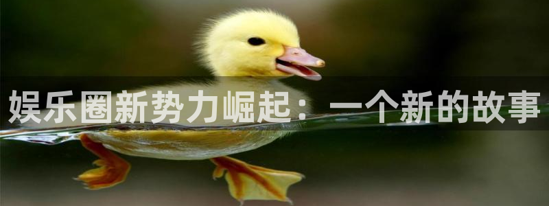 下载新宝5app