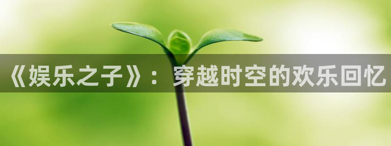 新宝5app下载安装