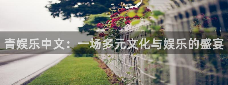 壹号大舞台下载