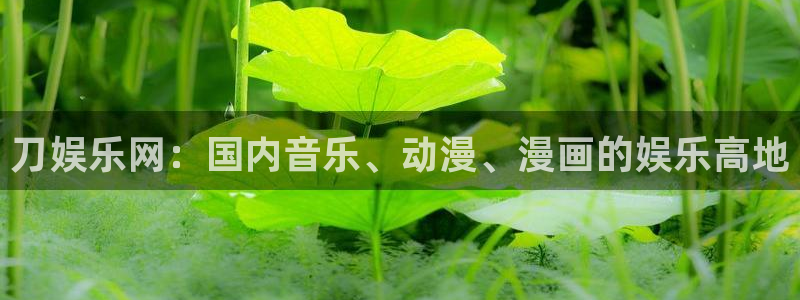壹号大舞台网站：刀娱乐网：国内音乐、动漫、漫画的娱乐高地