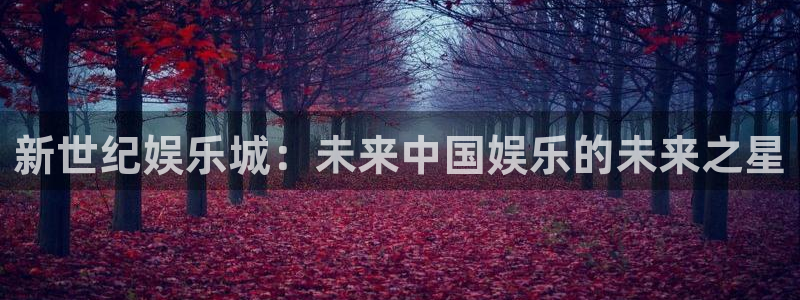 壹号大舞台28国际大舞台：新世纪娱乐城：未来中国娱乐的未来之星