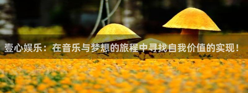 新宝5吧：壹心娱乐：在音乐与梦想的旅程中寻找自我价值的实现！